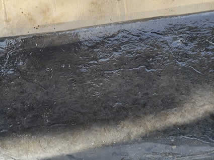Concrete Stamping