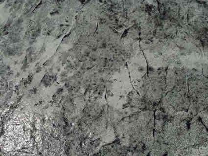 Concrete Stamping
